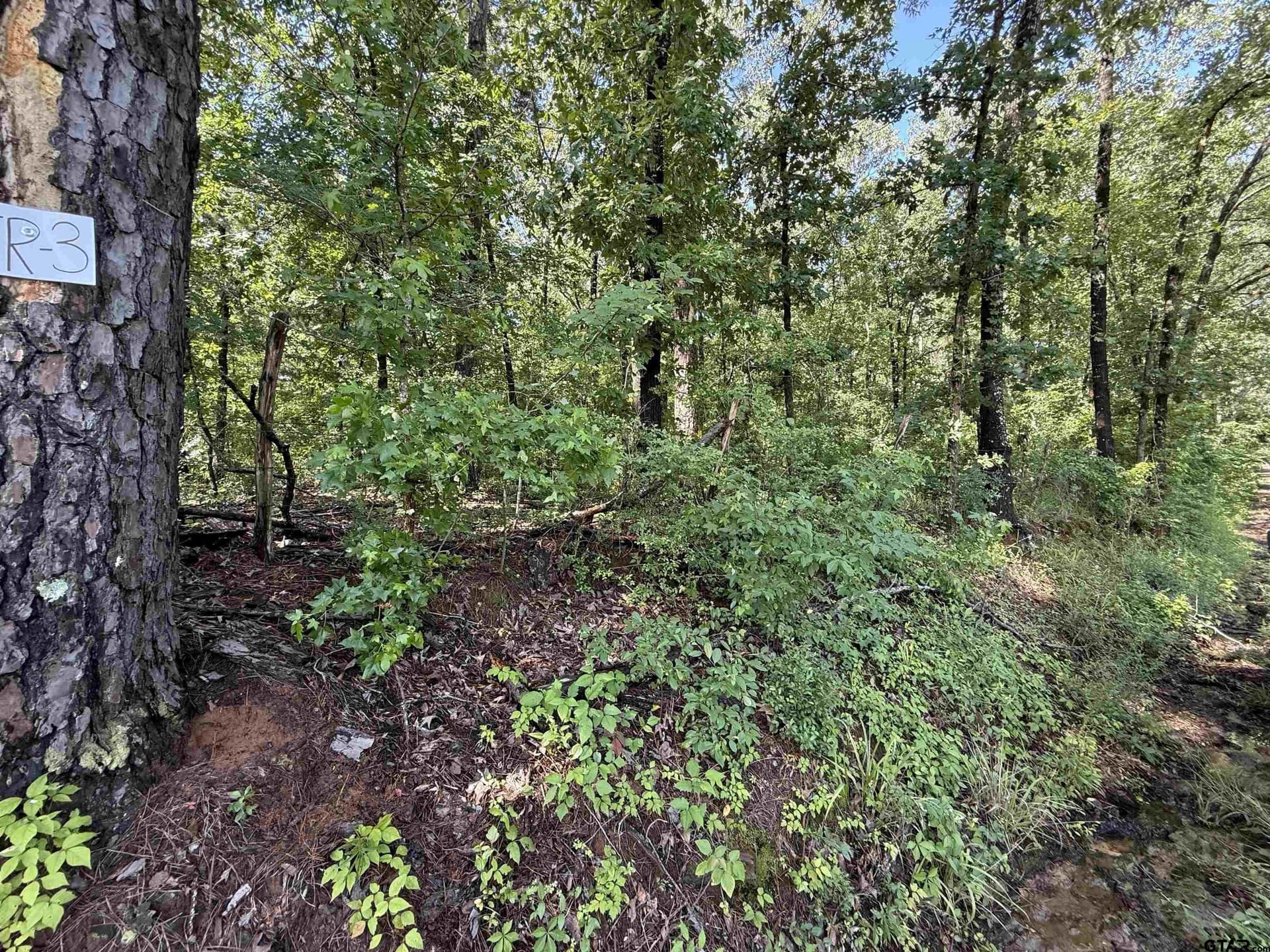 10 acres in Rusk County gallery image 3