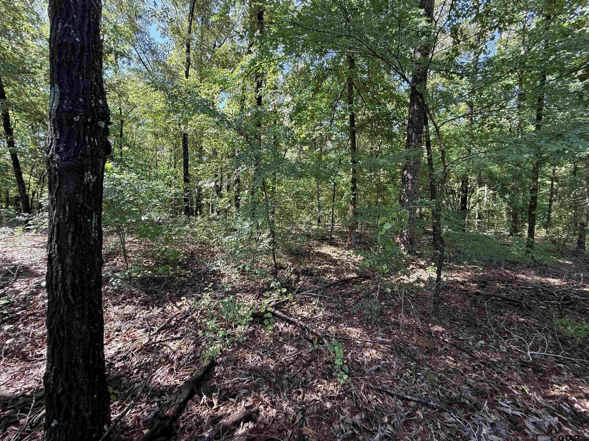 10 acres in Rusk County featured view