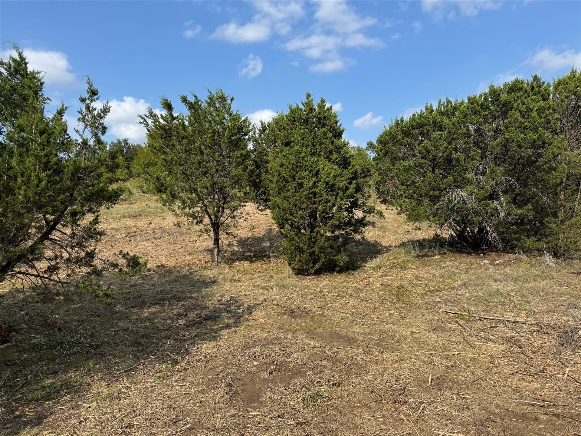 5.01 acres in Palo Pinto County gallery image 2