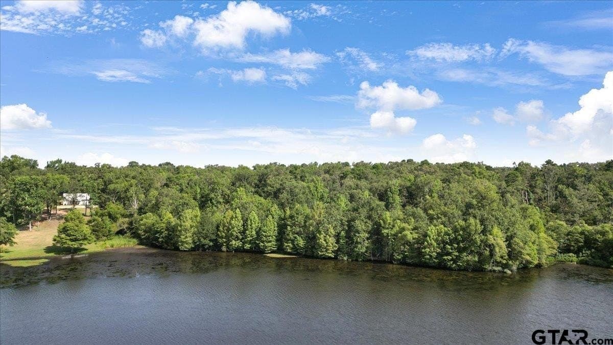 10.98 acres in Upshur County gallery image 3