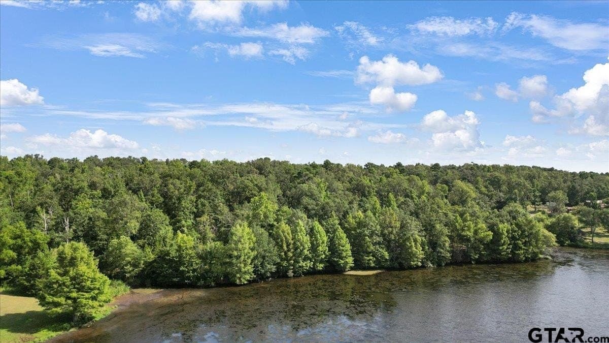 10.98 acres in Upshur County gallery image 2