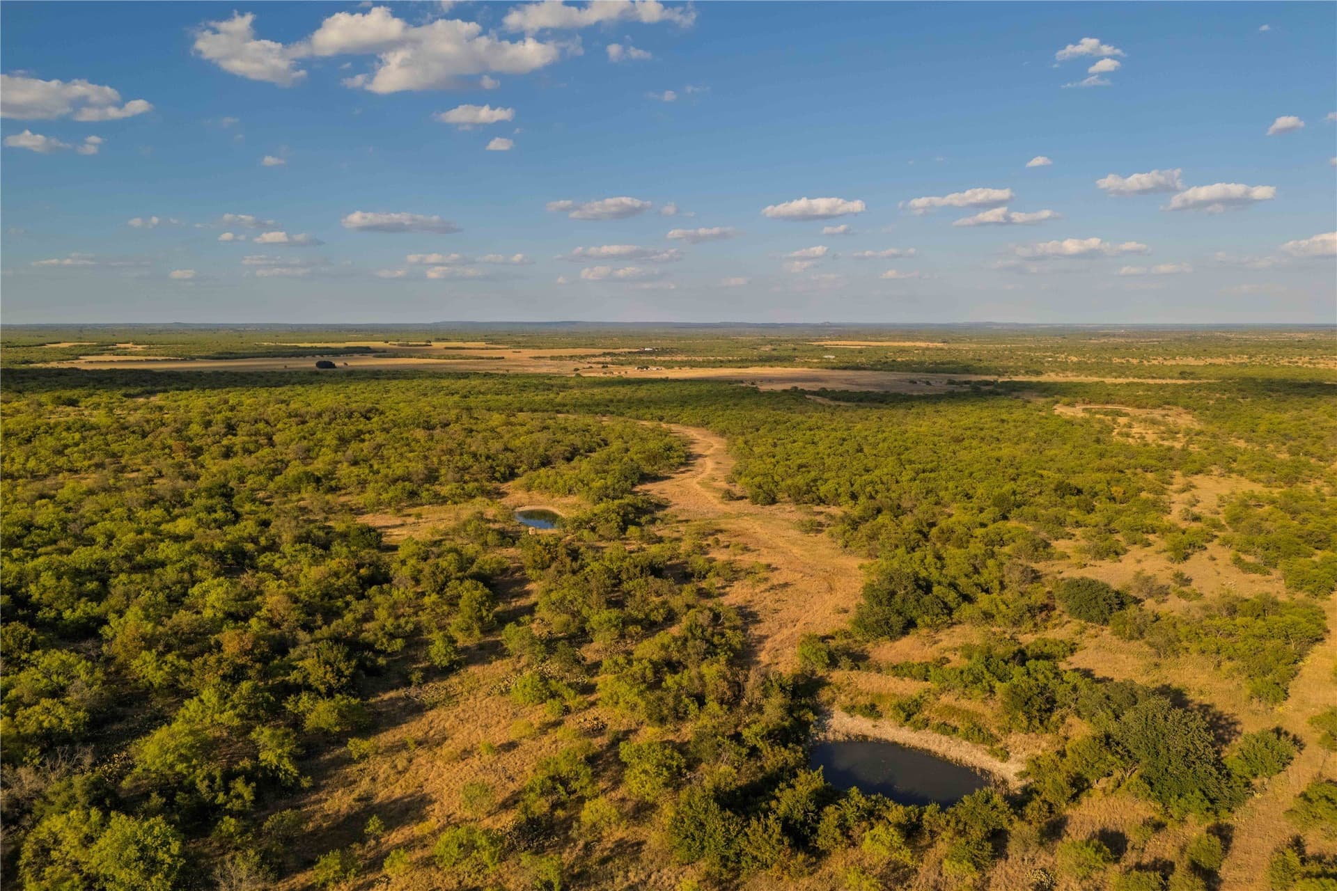 652.78 acres in Callahan County - photo 6