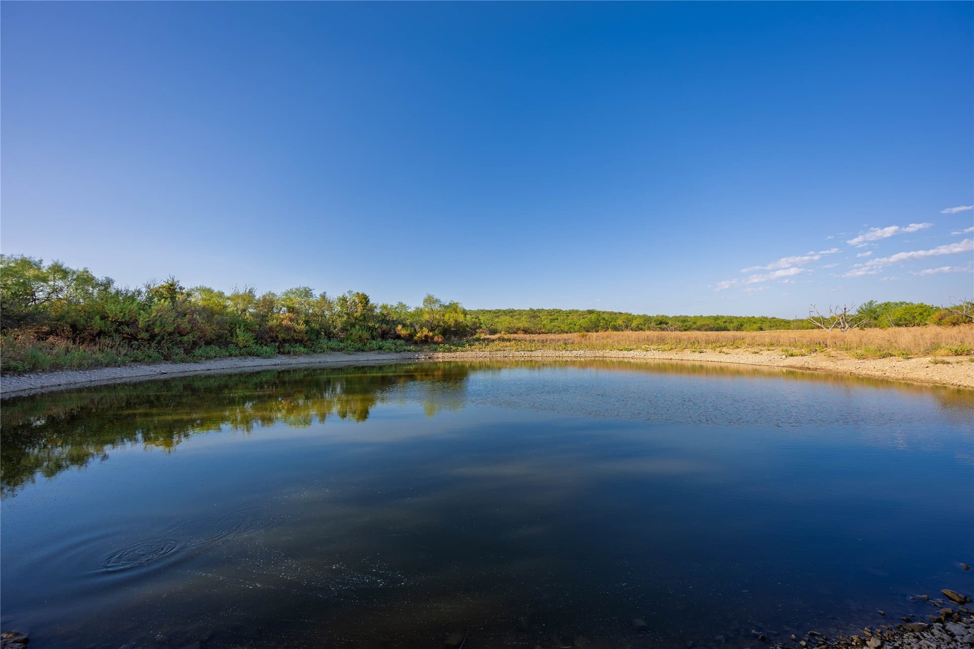 652.78 acres in Callahan County - photo 9