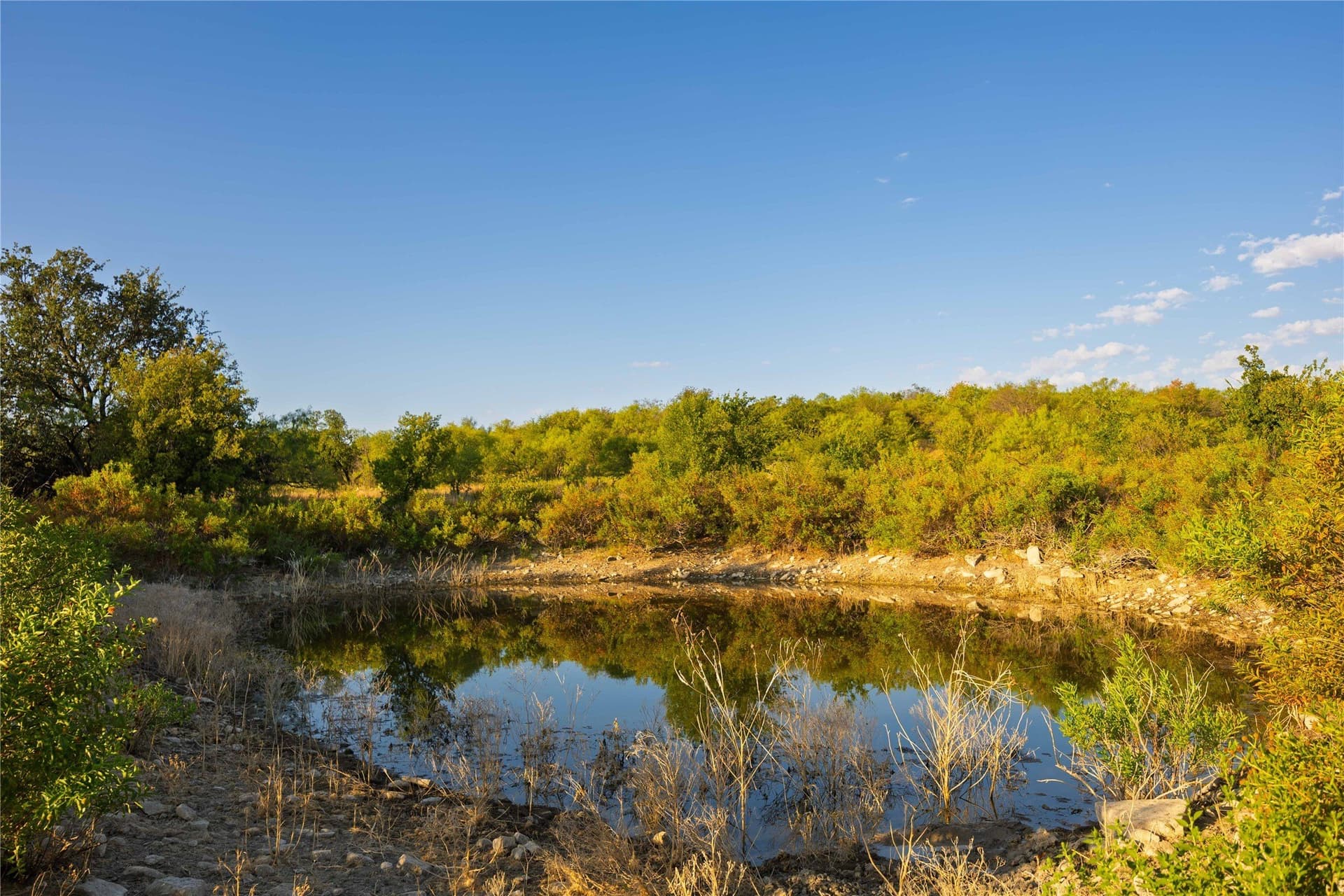 652.78 acres in Callahan County - photo 10