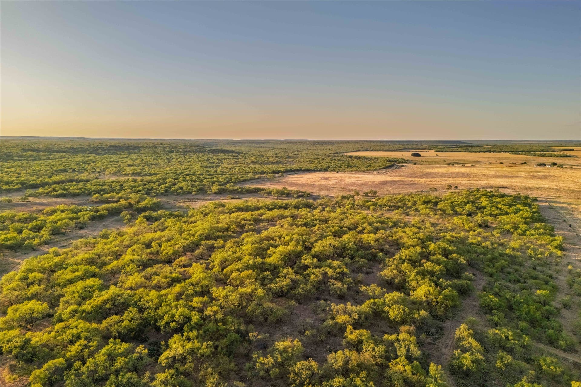 652.78 acres in Callahan County - photo 7