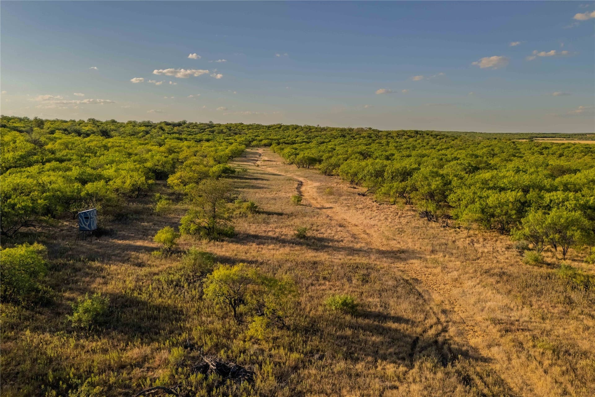 652.78 acres in Callahan County - photo 14