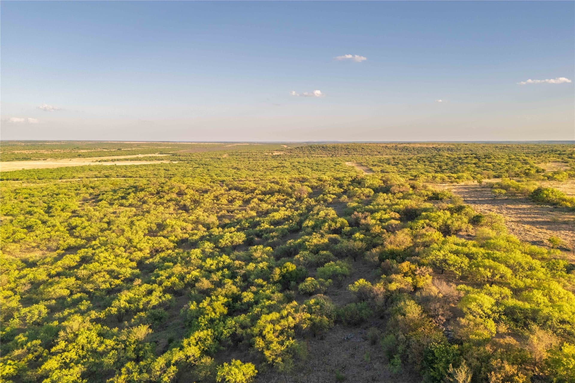 652.78 acres in Callahan County - photo 26