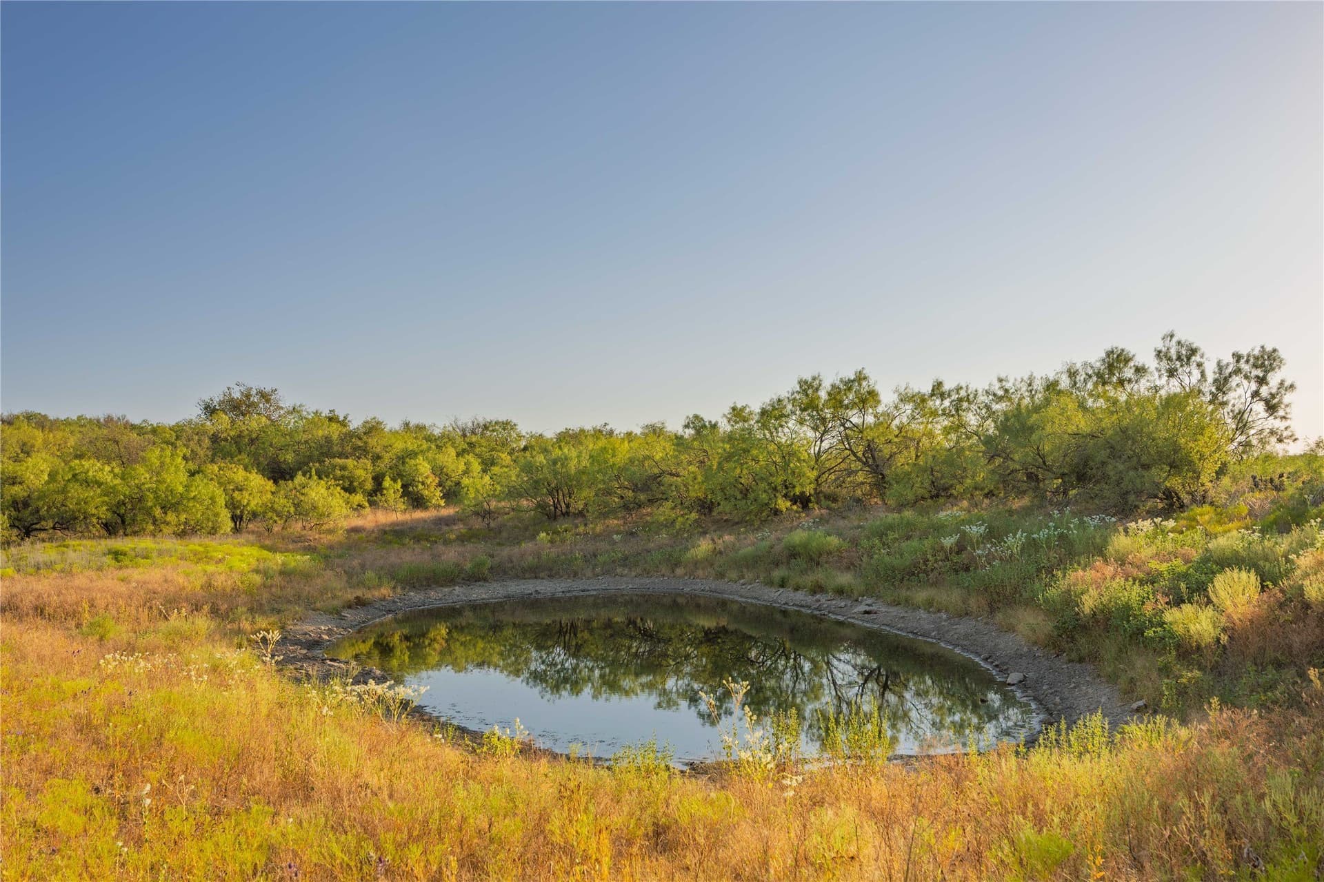 652.78 acres in Callahan County - photo 4