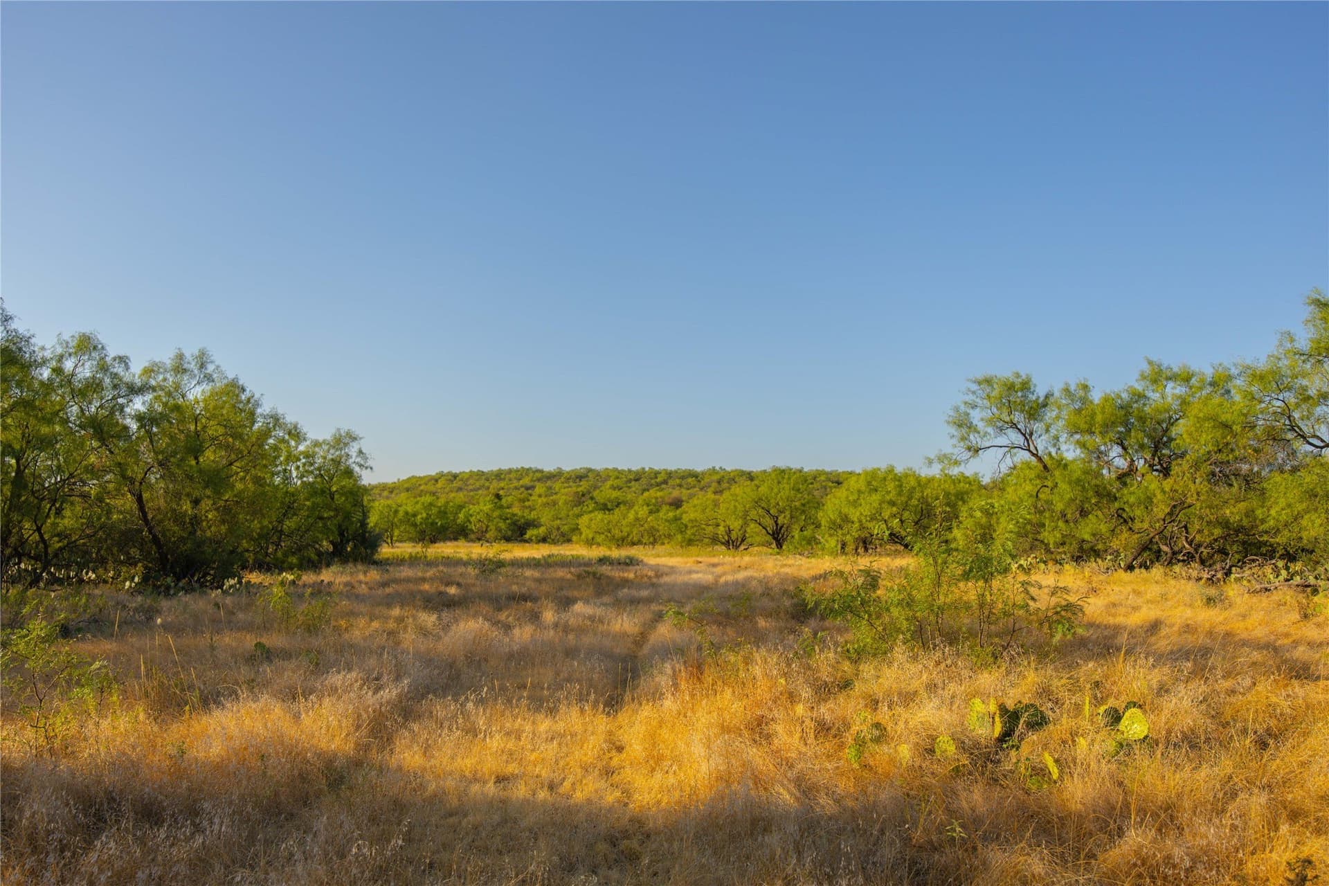 652.78 acres in Callahan County - photo 18