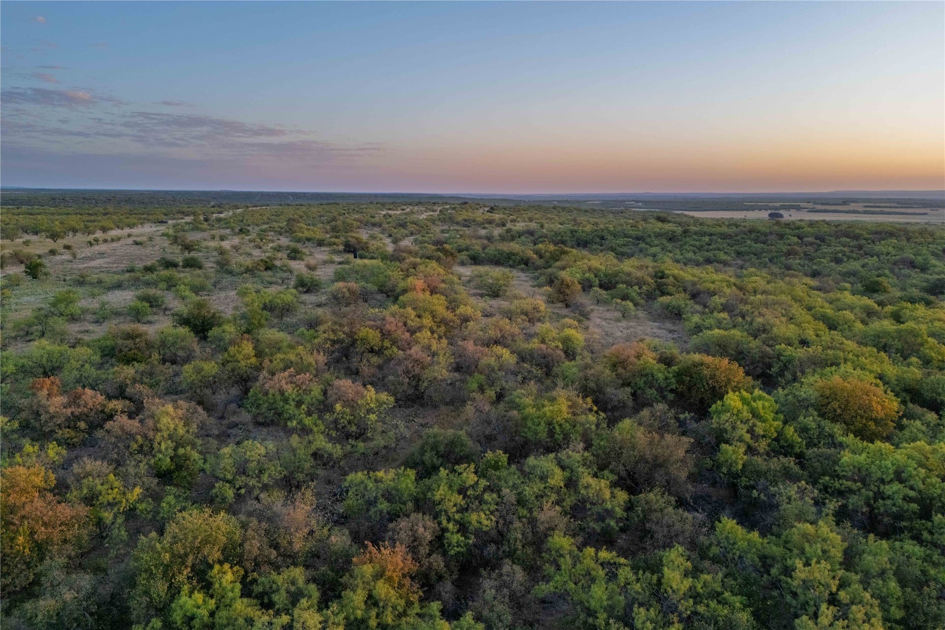 652.78 acres in Callahan County - photo 27