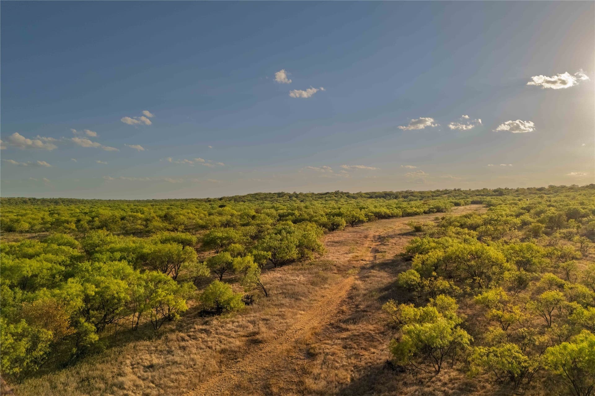 652.78 acres in Callahan County - photo 13