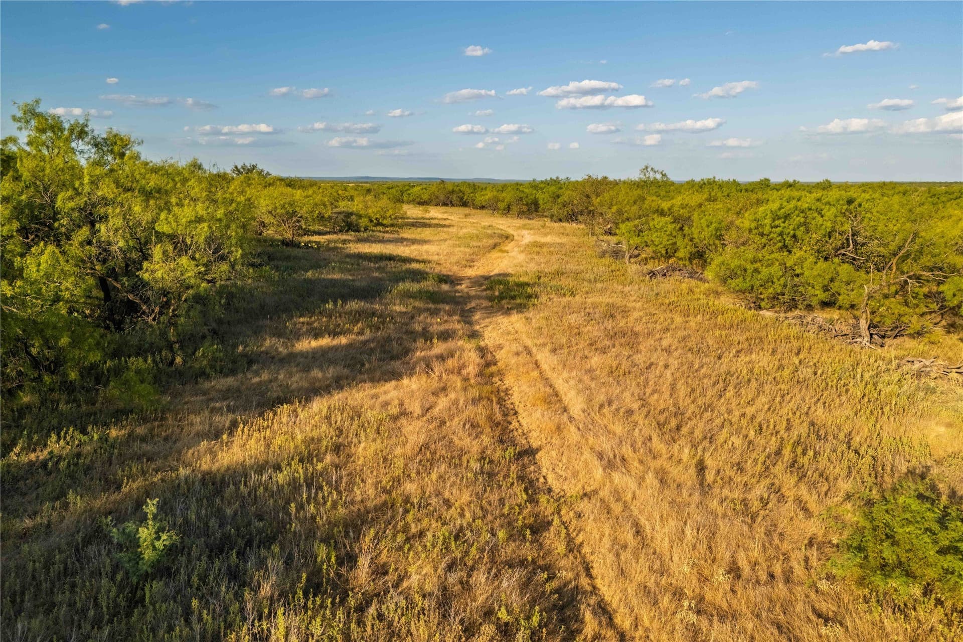 652.78 acres in Callahan County - photo 5