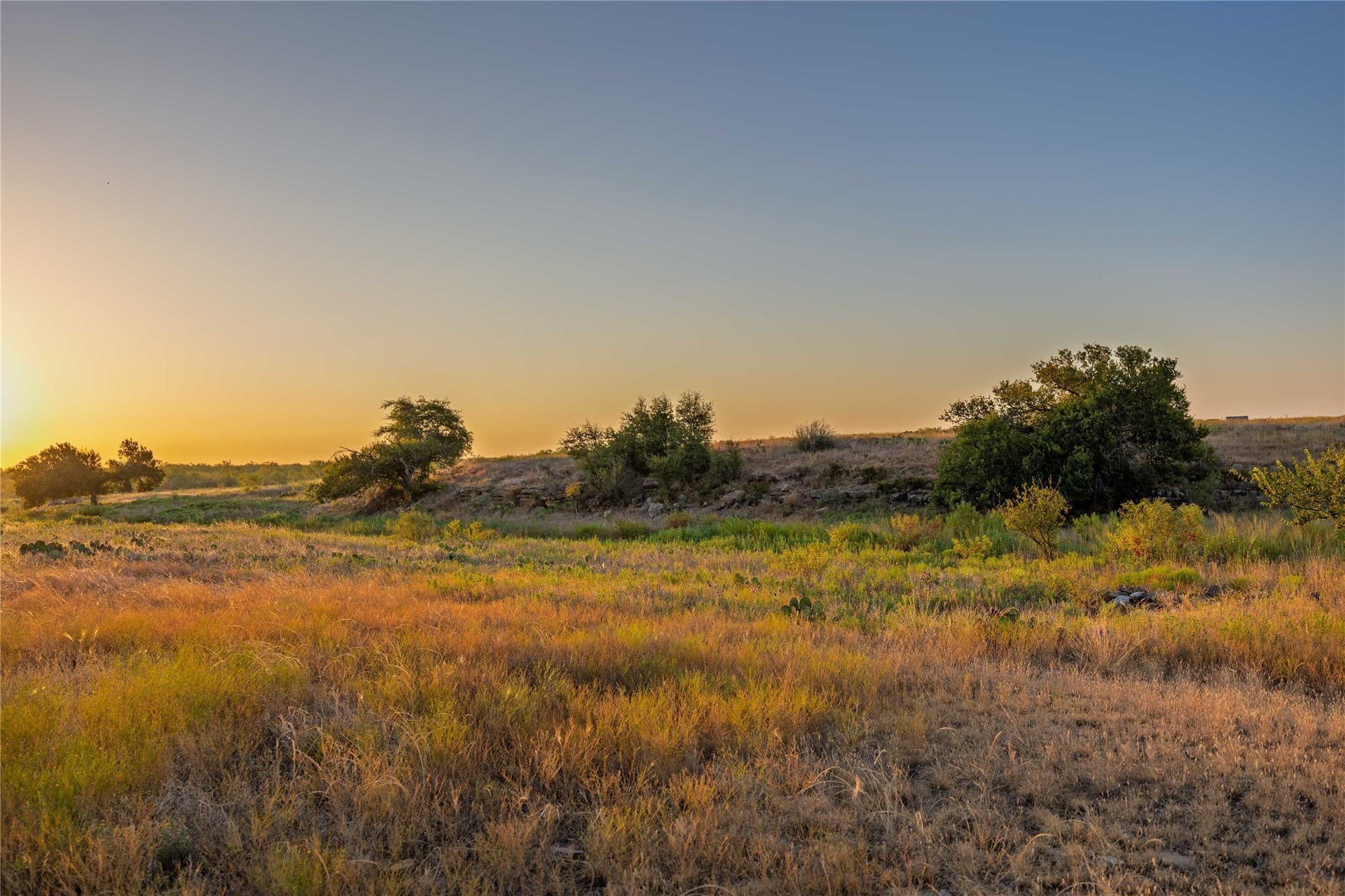 652.78 acres in Callahan County - photo 21
