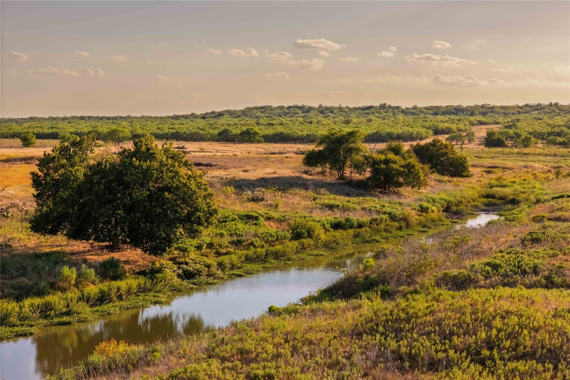 652.78 acres in Callahan County - photo 3