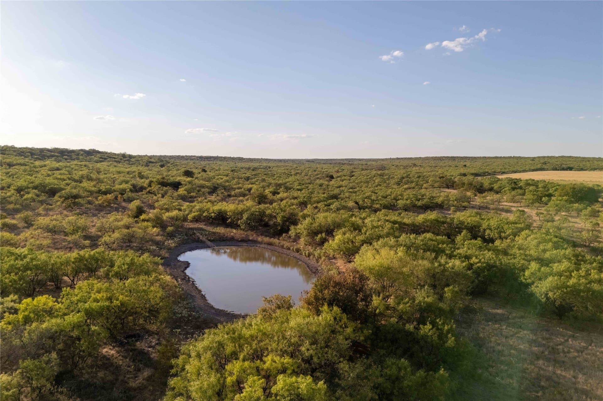 652.78 acres in Callahan County - photo 12