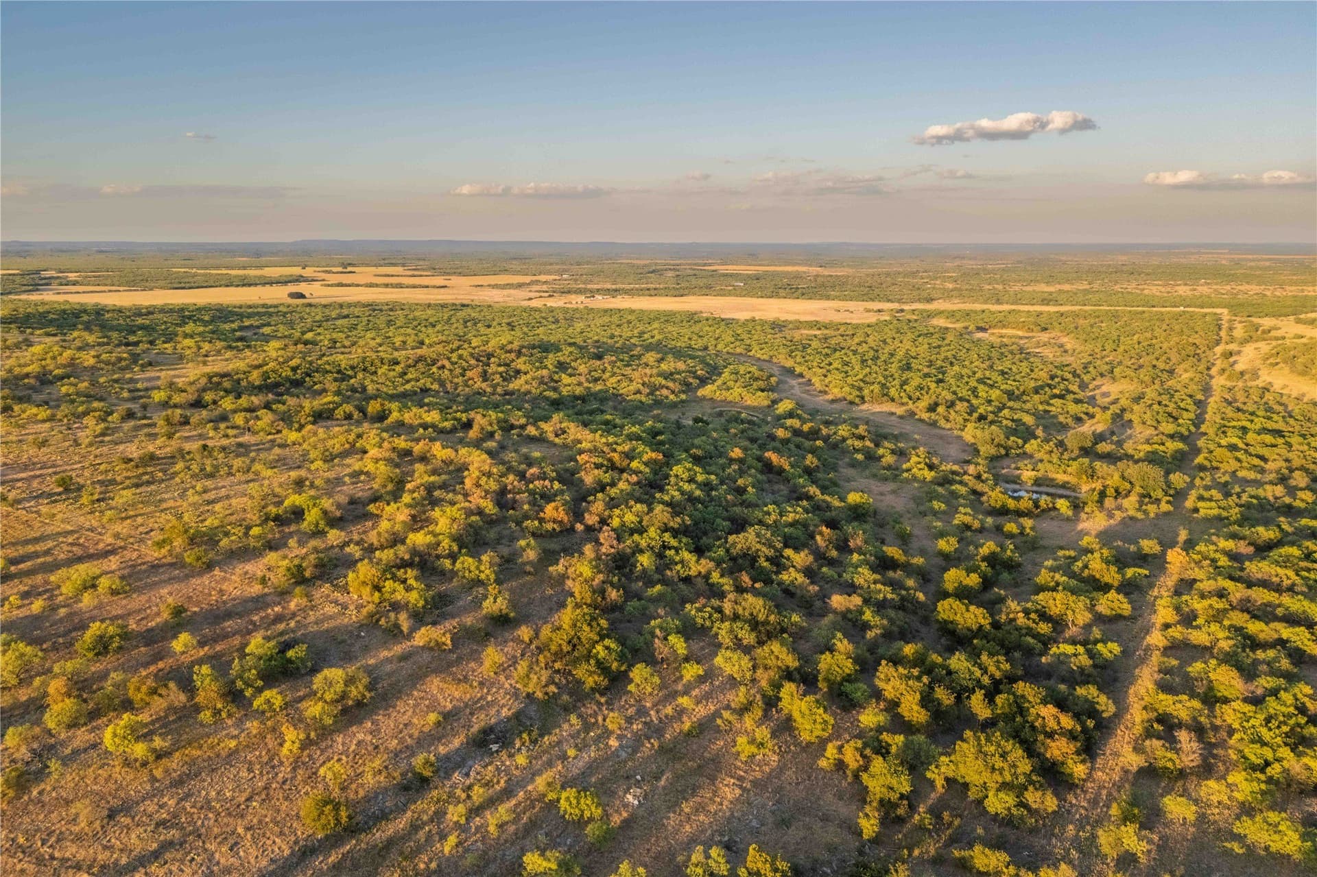 652.78 acres in Callahan County - photo 2