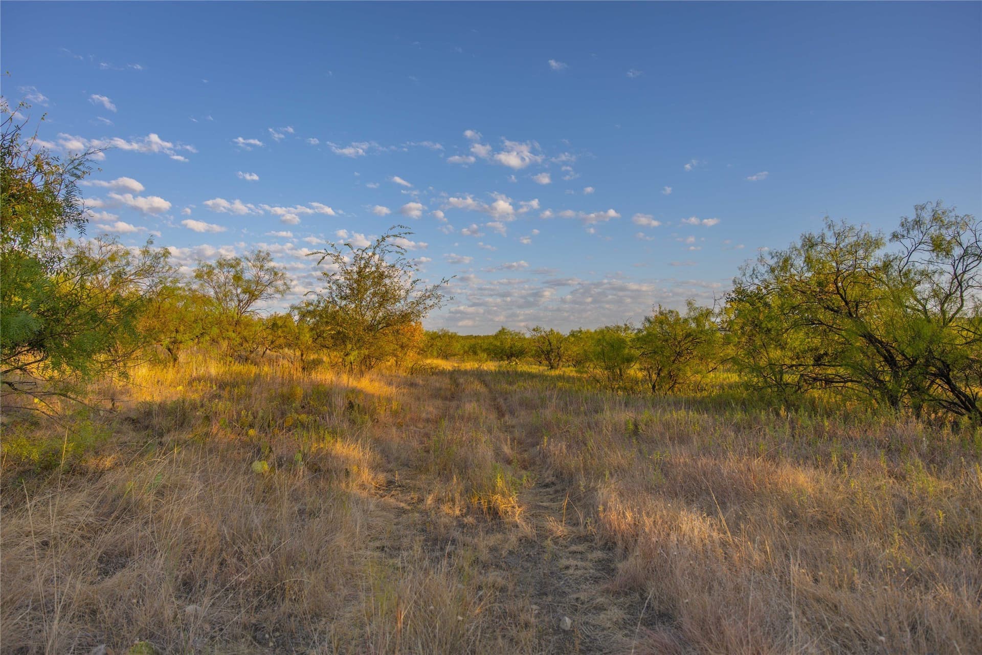 652.78 acres in Callahan County - photo 19
