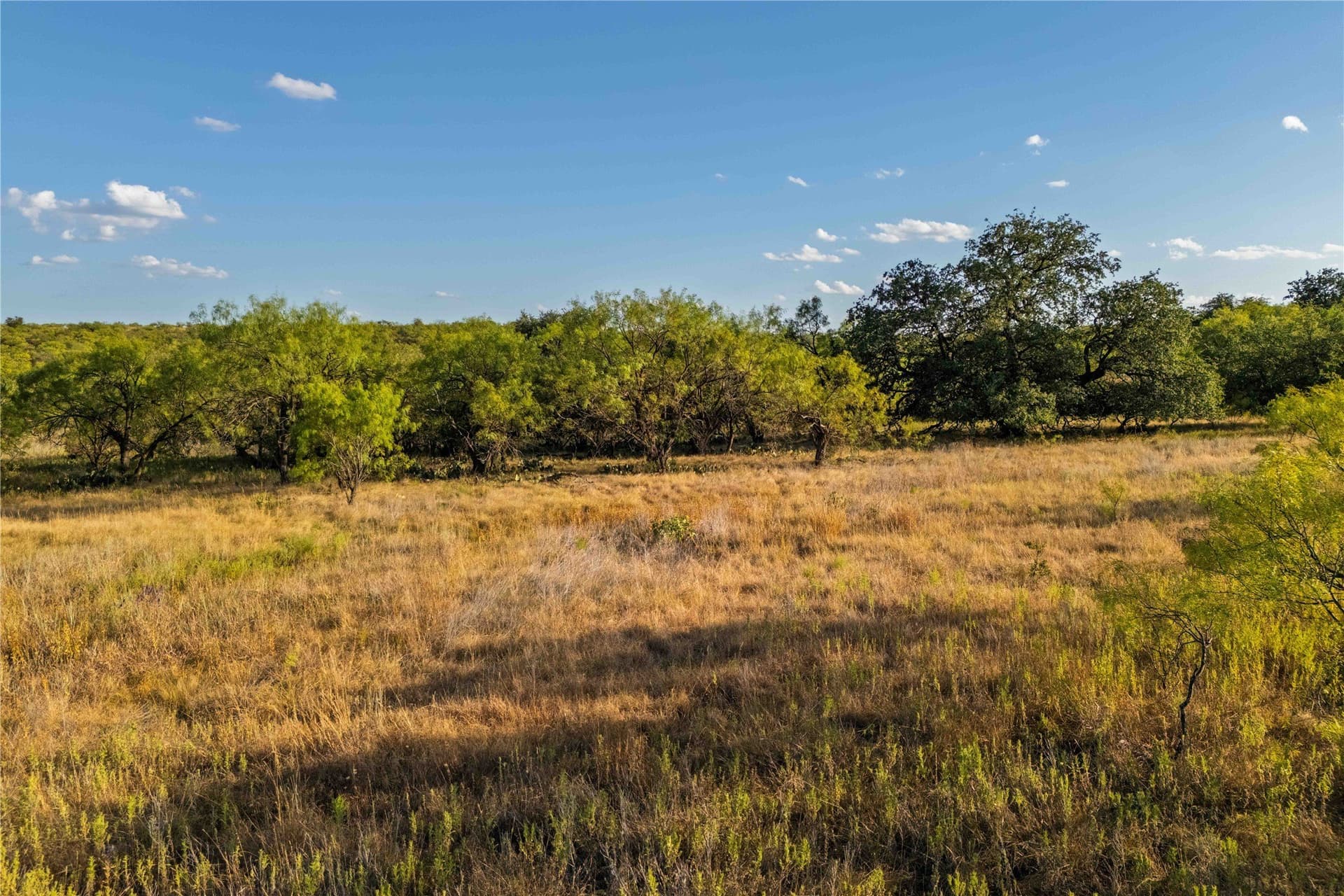 652.78 acres in Callahan County - photo 17