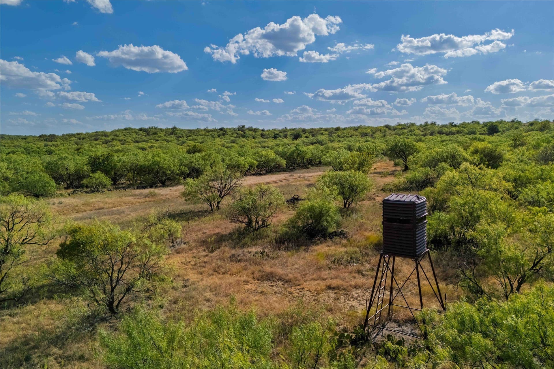 652.78 acres in Callahan County - photo 15