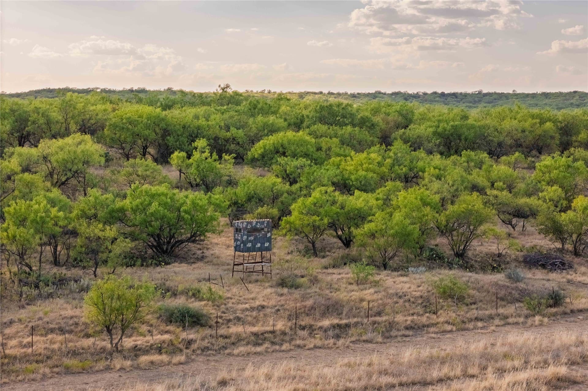 652.78 acres in Callahan County - photo 16