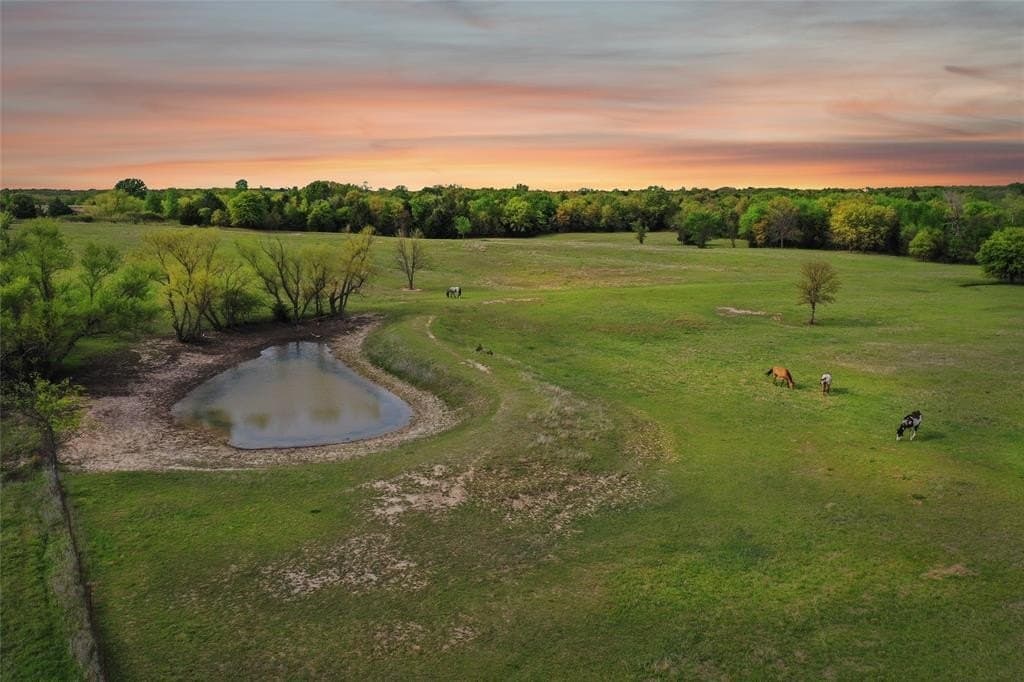 20.21 acres in Montague County gallery image 4