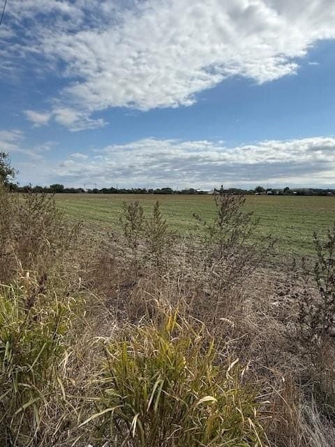 17.56 acres in Taylor County gallery image 3