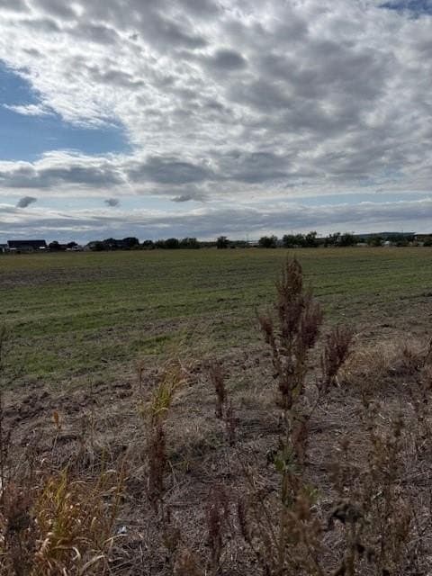 17.56 acres in Taylor County gallery image 2