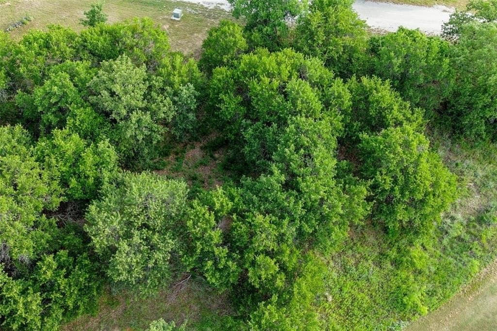0.87 acres in Eastland County gallery image 2