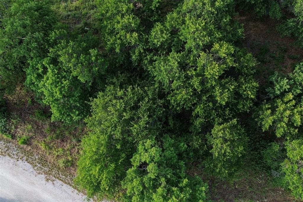 0.87 acres in Eastland County featured view