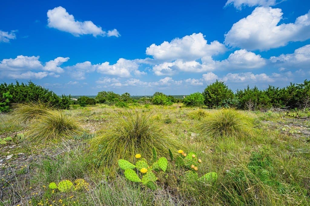 11.97 acres in Kimble County gallery image 4