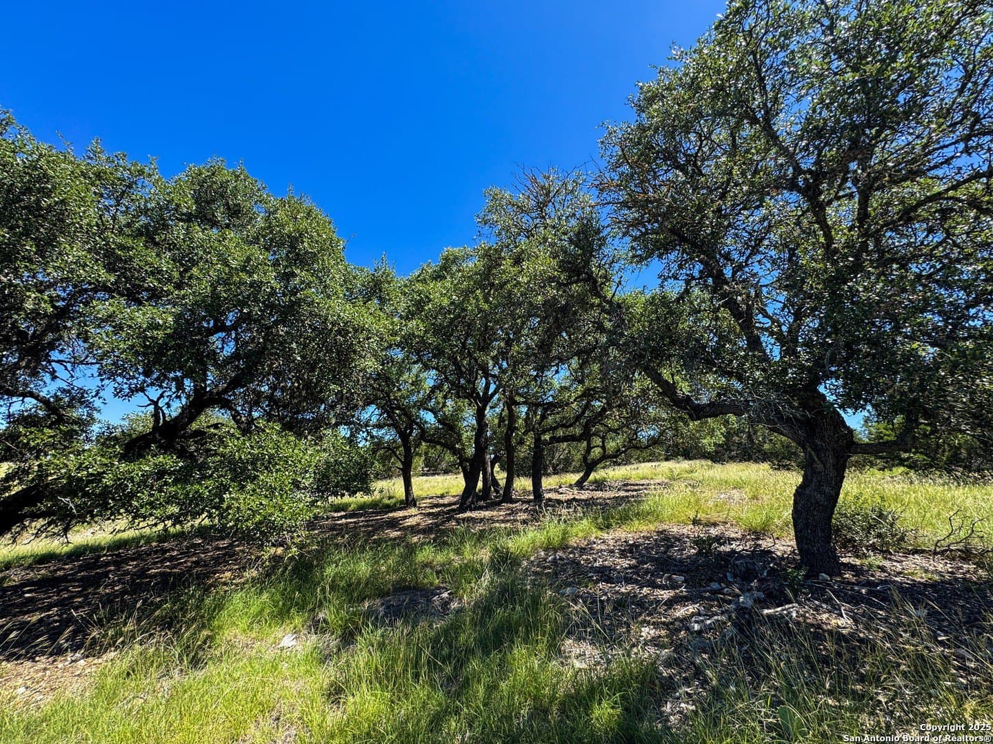4.01 acres in Gillespie County featured view