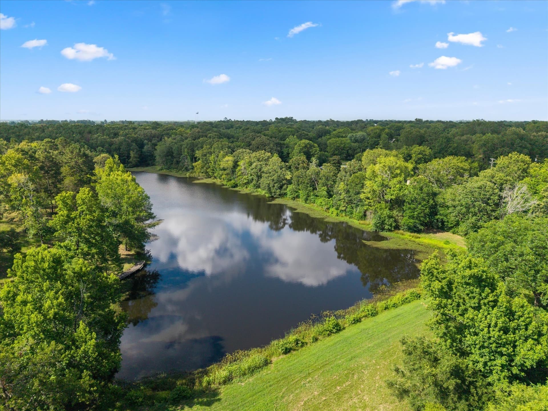 56 acres in Titus County - photo 3