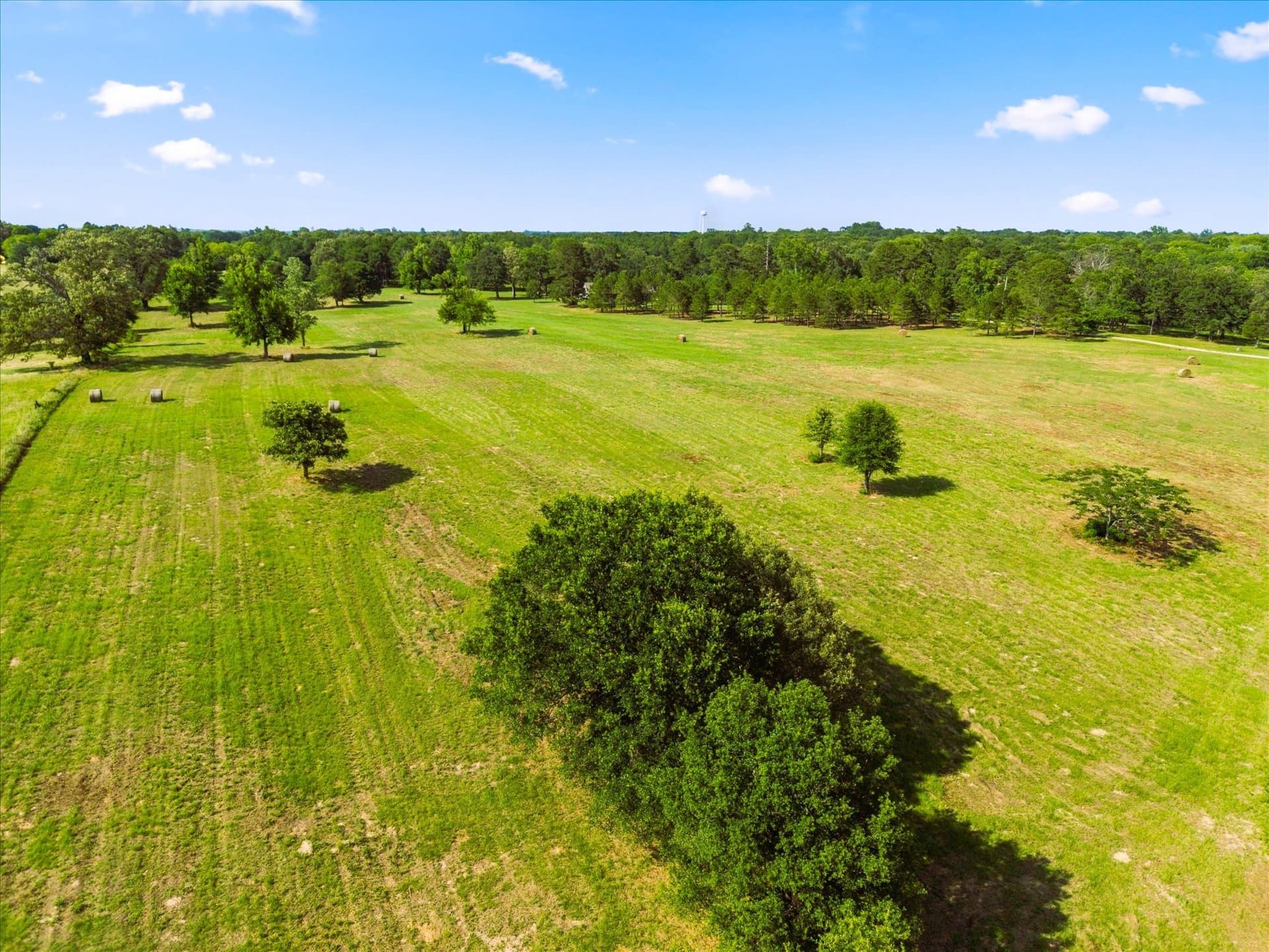 56 acres in Titus County - photo 38