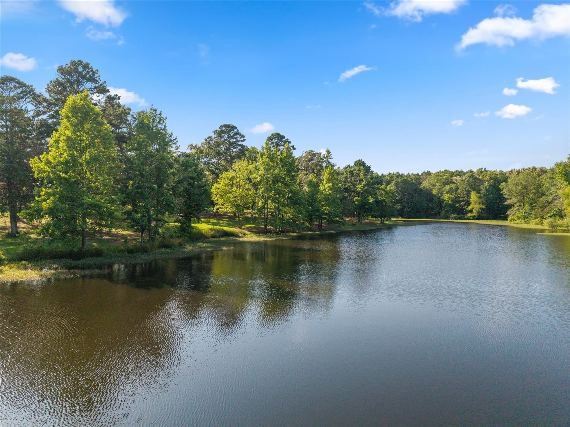 56 acres in Titus County - photo 2