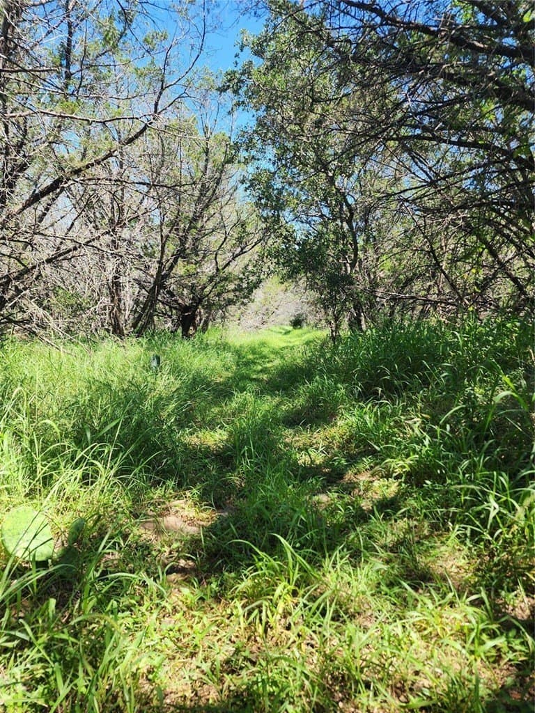 0.25 acres in Burnet County featured view