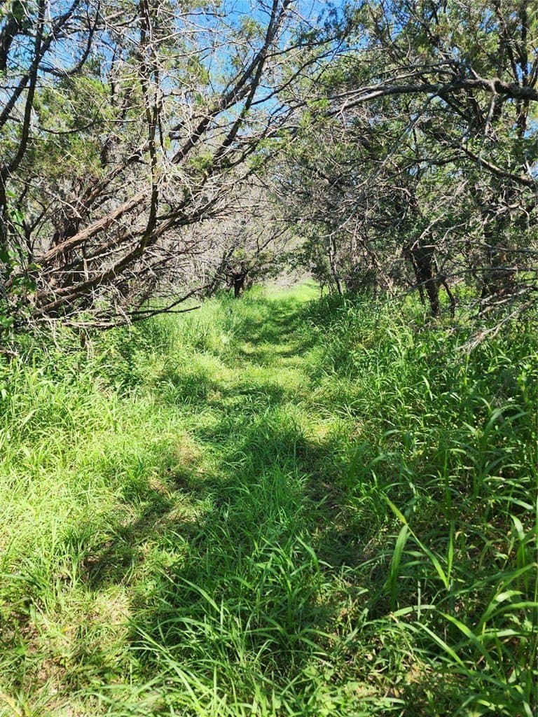 0.25 acres in Burnet County gallery image 4