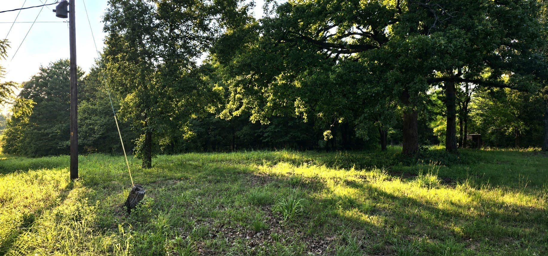 10 acres in Henderson County