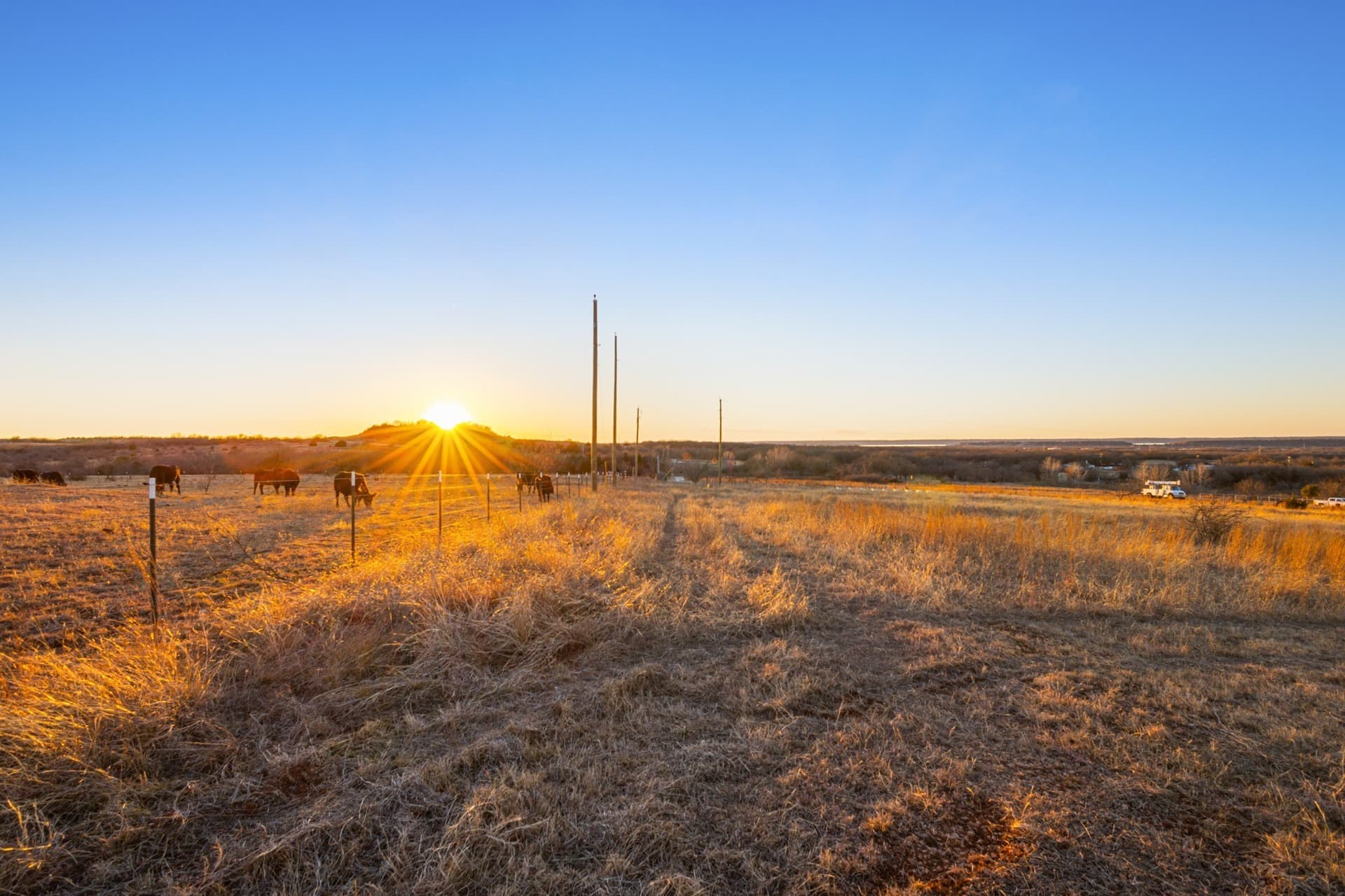 11.17 acres in Wise County gallery image 4