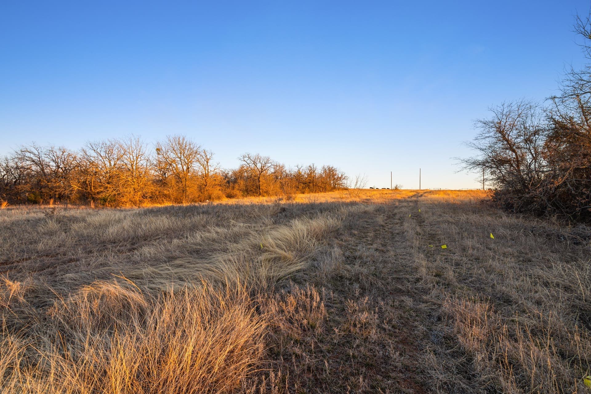 11.17 acres in Wise County gallery image 3