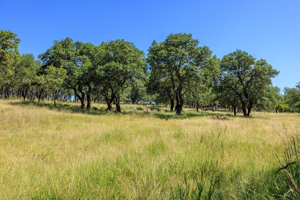 109.73 acres in Gillespie County featured view