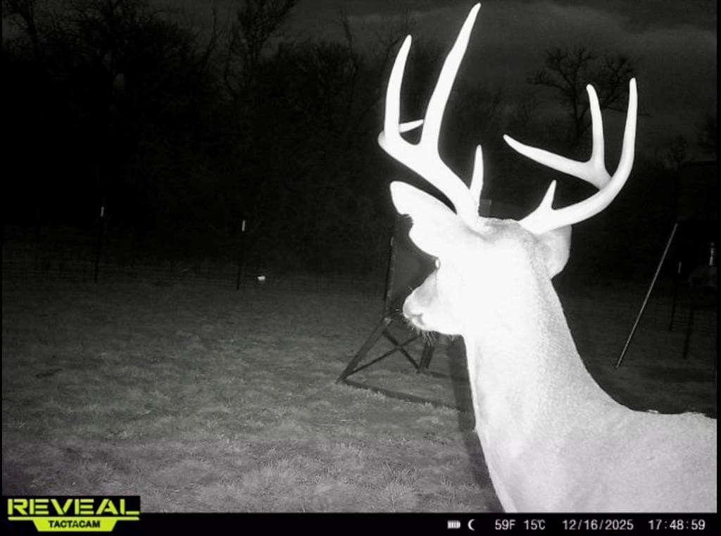 213.5 acres in Freestone County gallery image 3