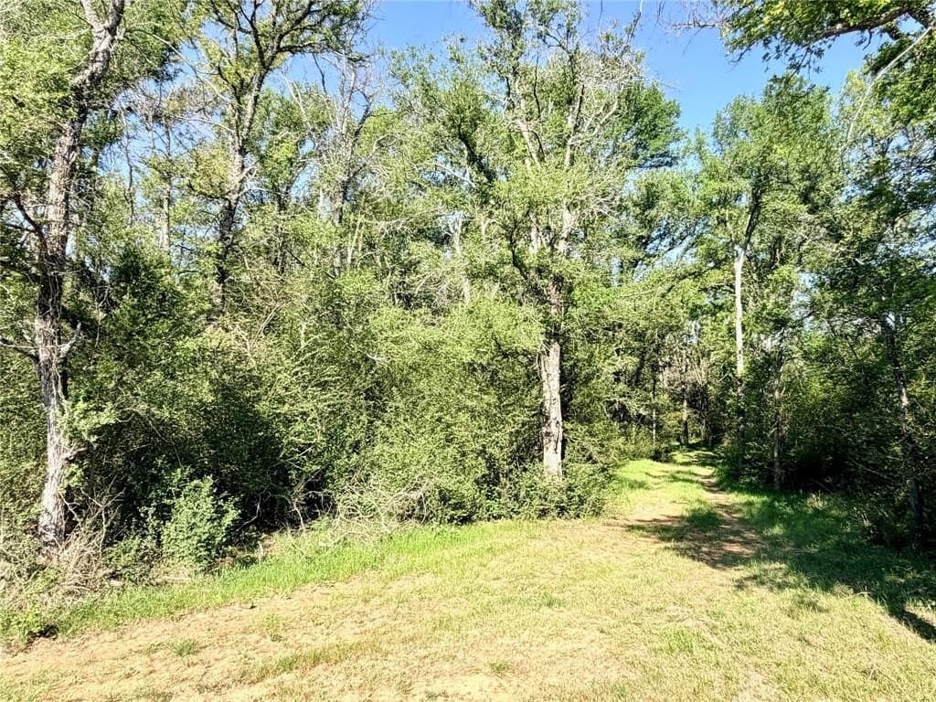 213.5 acres in Freestone County featured view