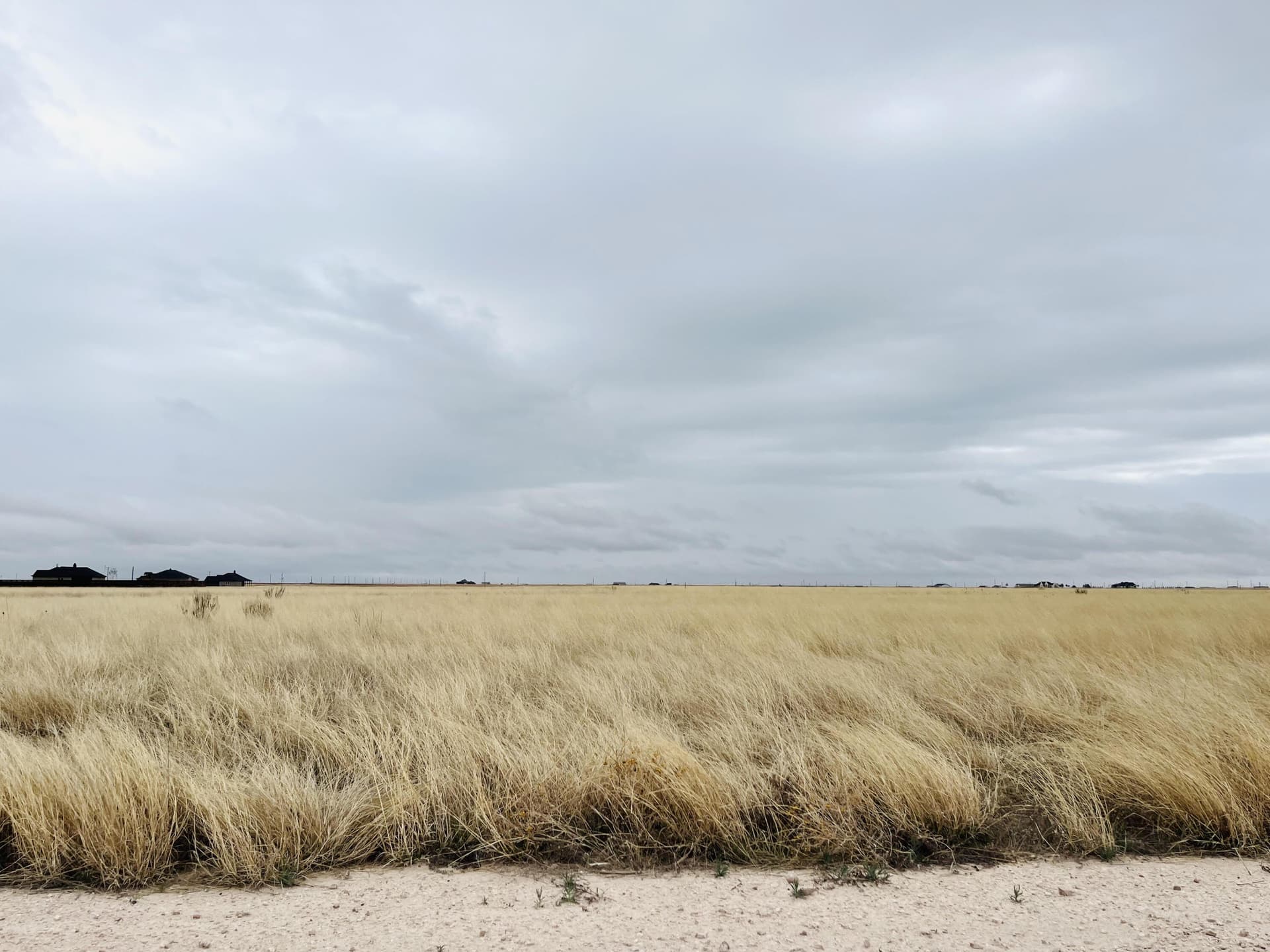 10 acres in Lubbock County featured view