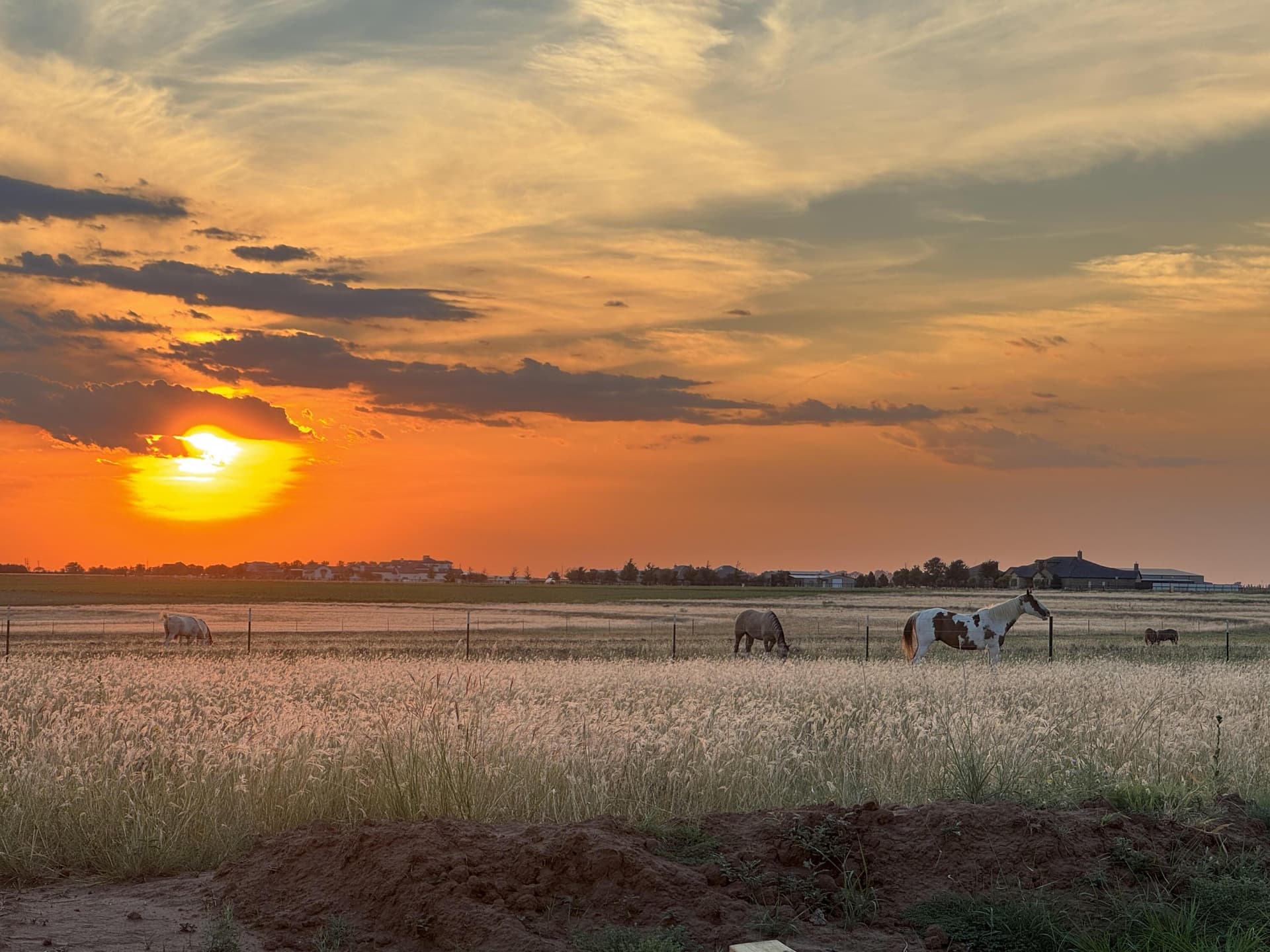 10 acres in Lubbock County gallery image 3