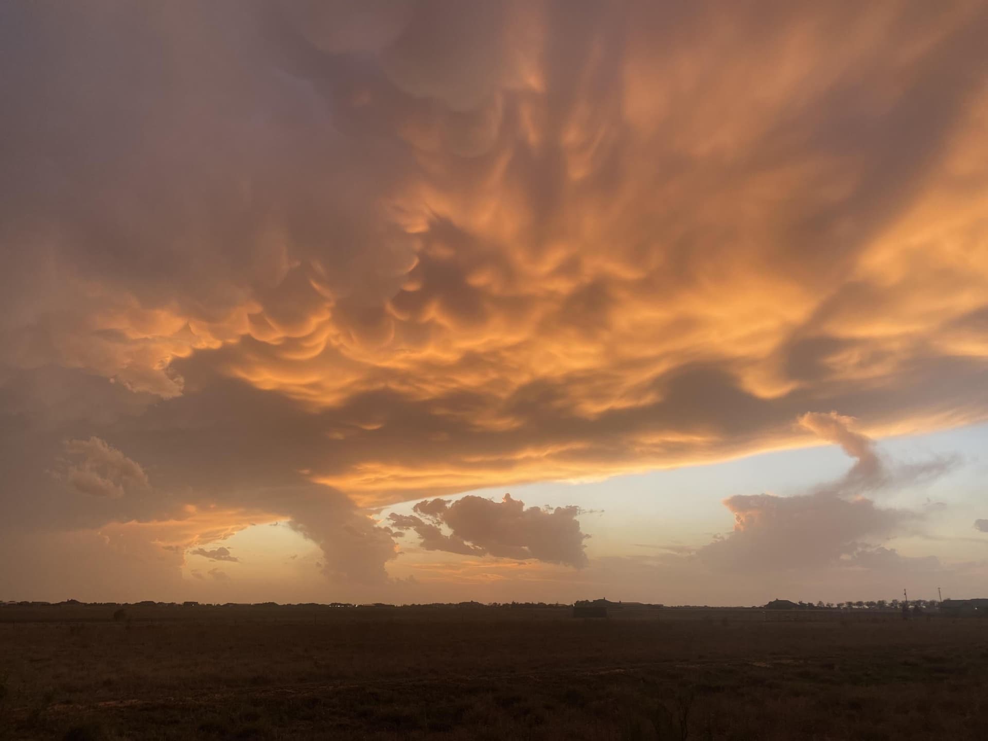10 acres in Lubbock County gallery image 4