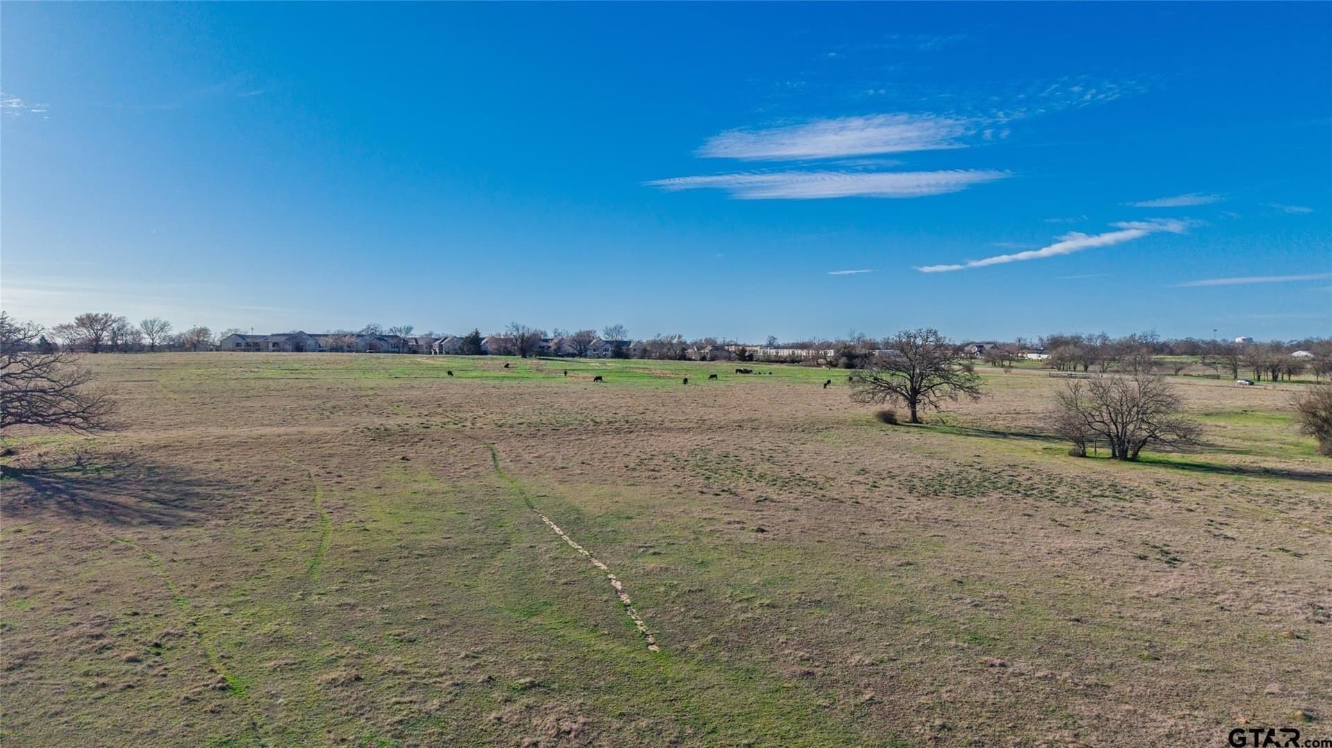 45.4 acres in Hopkins County - photo 16