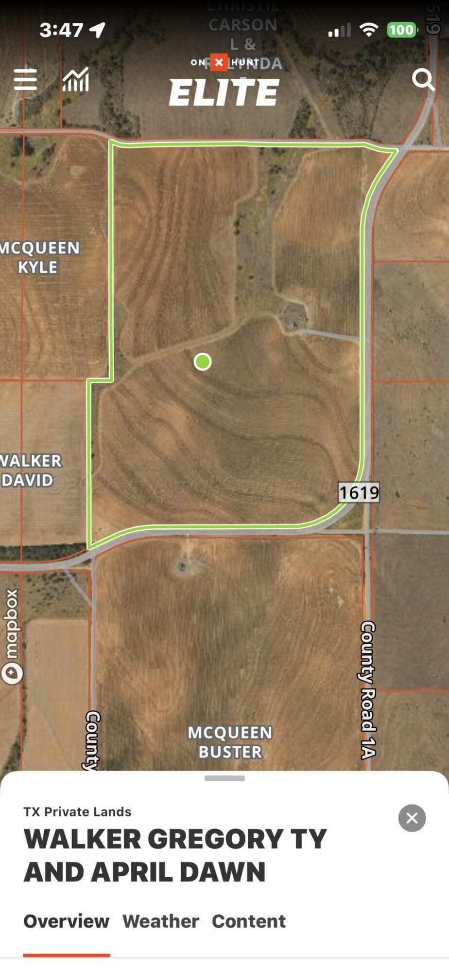 315 acres in Childress County gallery image 2
