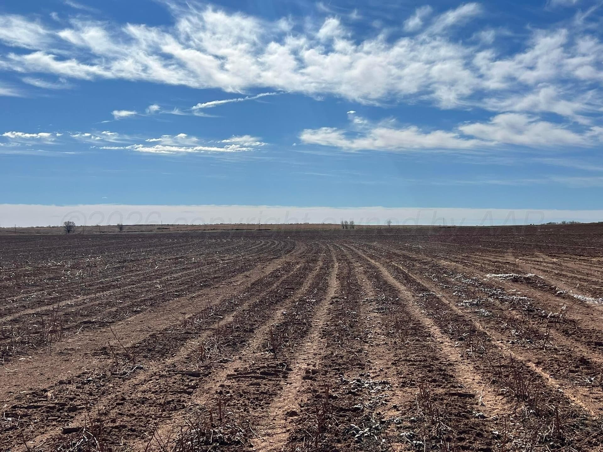 315 acres in Childress County featured view