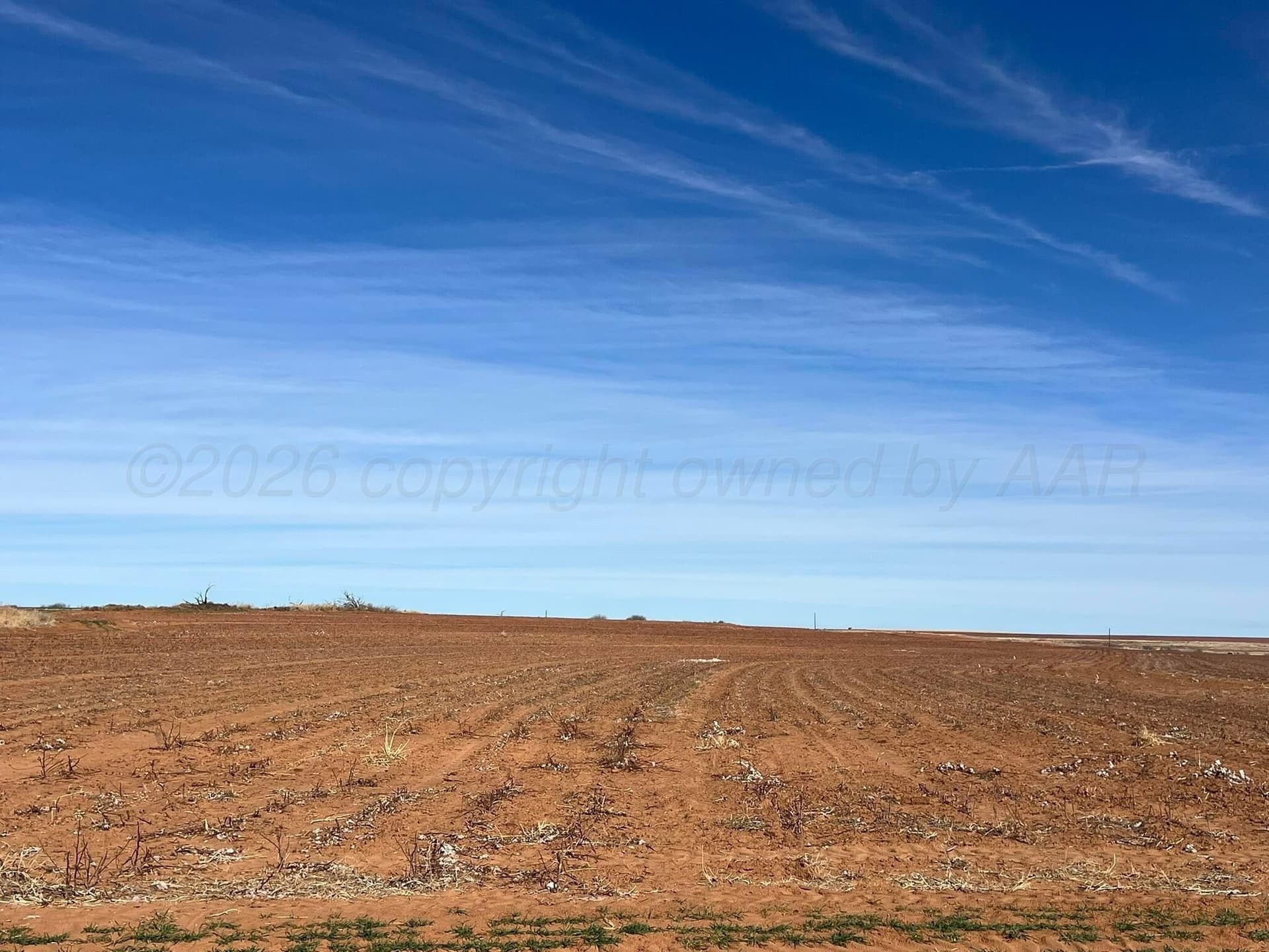 315 acres in Childress County gallery image 4