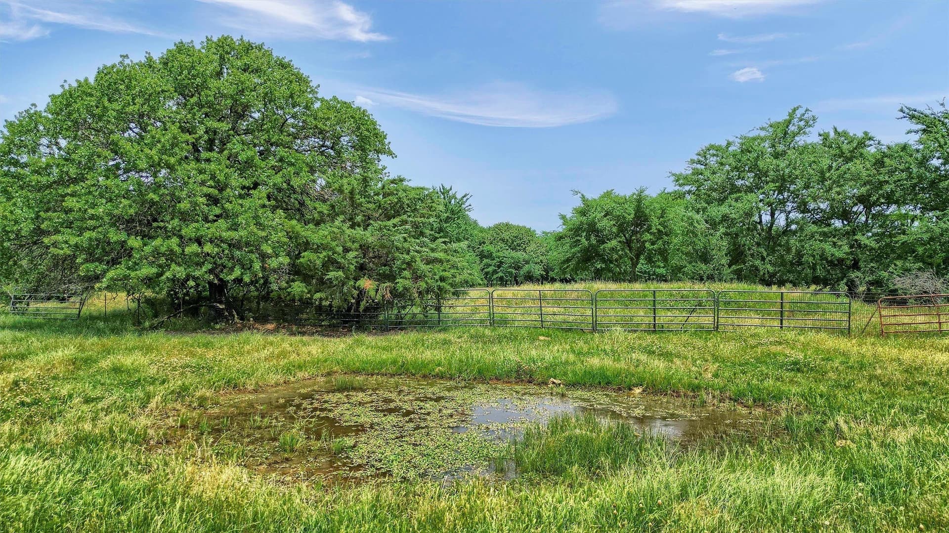 10 acres in Denton County - photo 9
